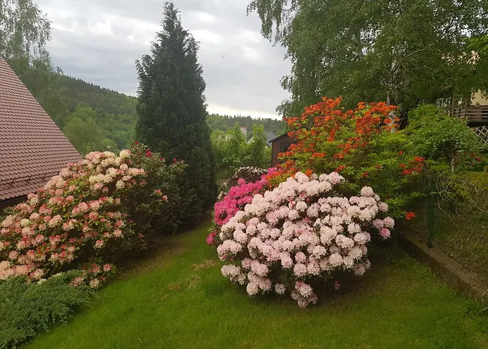 Mikolajowka - Przytulny Dom Z Widokiem 아파트 Świeradów-Zdrój